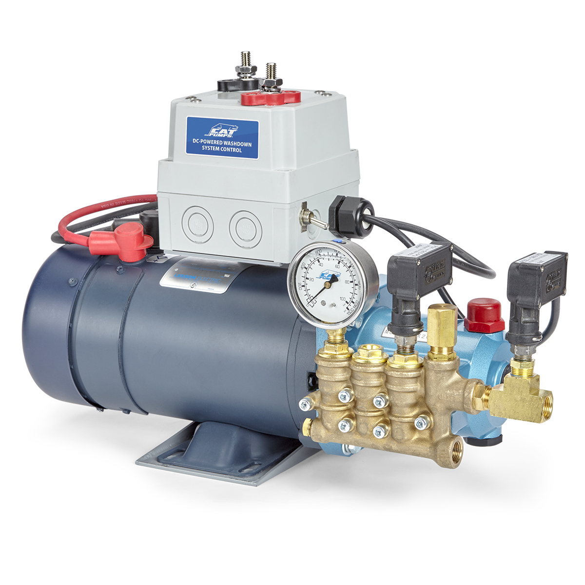 Cat Pumps 4 DX and 4 SP w Pump Motor Left