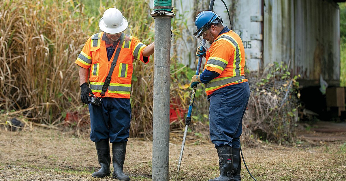 Hard Work, Determination Help Company Show Importance… | Dig Different