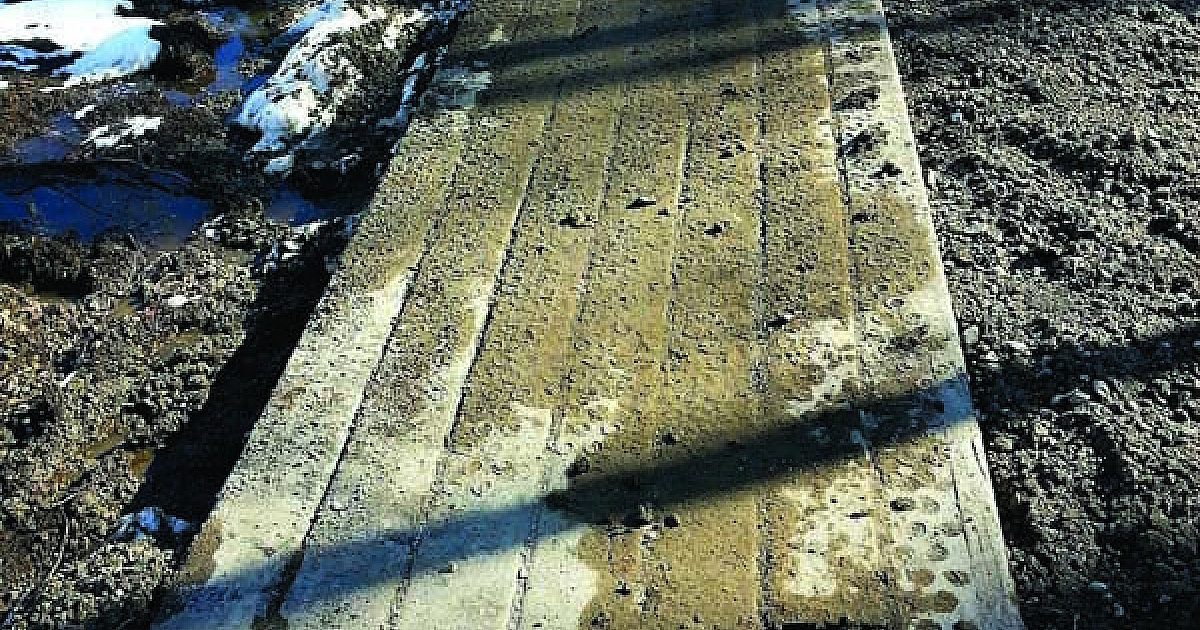 Sustainable construction mats provide wood… | Dig Different
