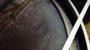 Activated Sludge Process2