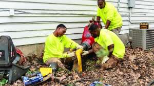 Cleaner Memphis Cherry 39