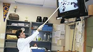 Superbugs Web