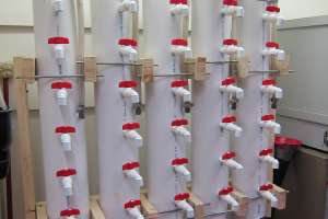 2011 Columns W Funnels Web