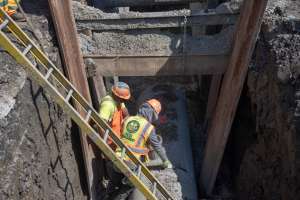 20190416 chicago 0060 msw0619 chicago profile