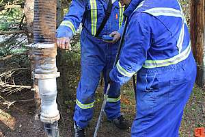 23677110175 c1ee7e4eae z