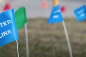 Video utility flags