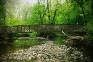 Bonsal Preserve Credit Jon Grove
