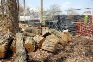 Bonsal Wildlife Preserve