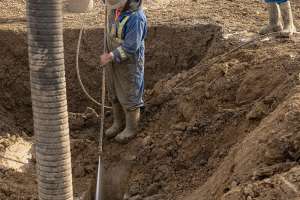 Dog05 In The Shop Safety