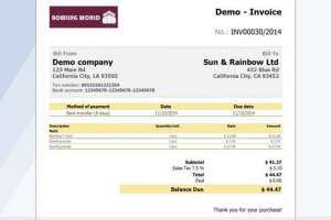 Bizxpert Demo Invoice