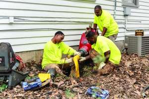 Cleaner Memphis Cherry 39