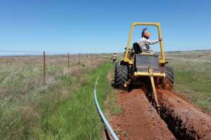 D1116 project snapshot