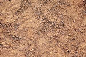 I Stock 000006702353 Medium