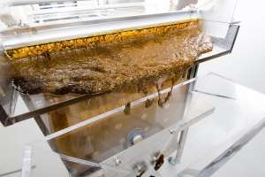 Originoil Ews Roadshow Web