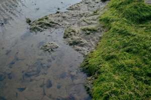 Pexels anntarazevich 6412285