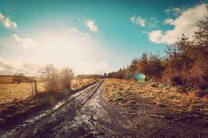 Pexels shottrotter 3637293