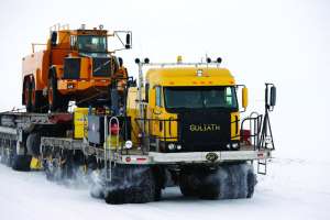 Pp15714 Tundra Cat Picture From Judy